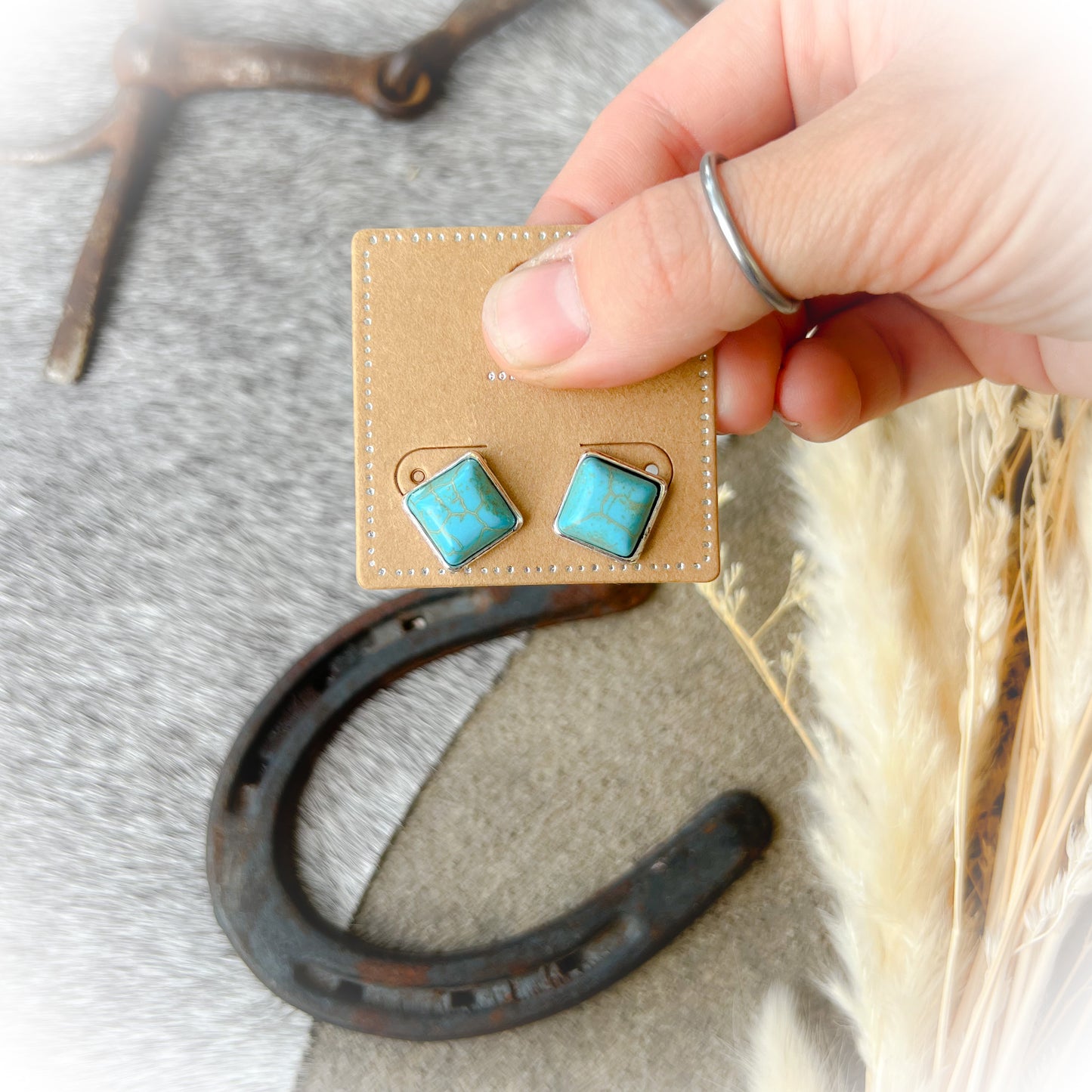 Western Stud Everyday Earrings