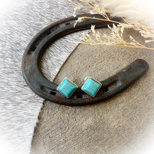 Western Stud Everyday Earrings