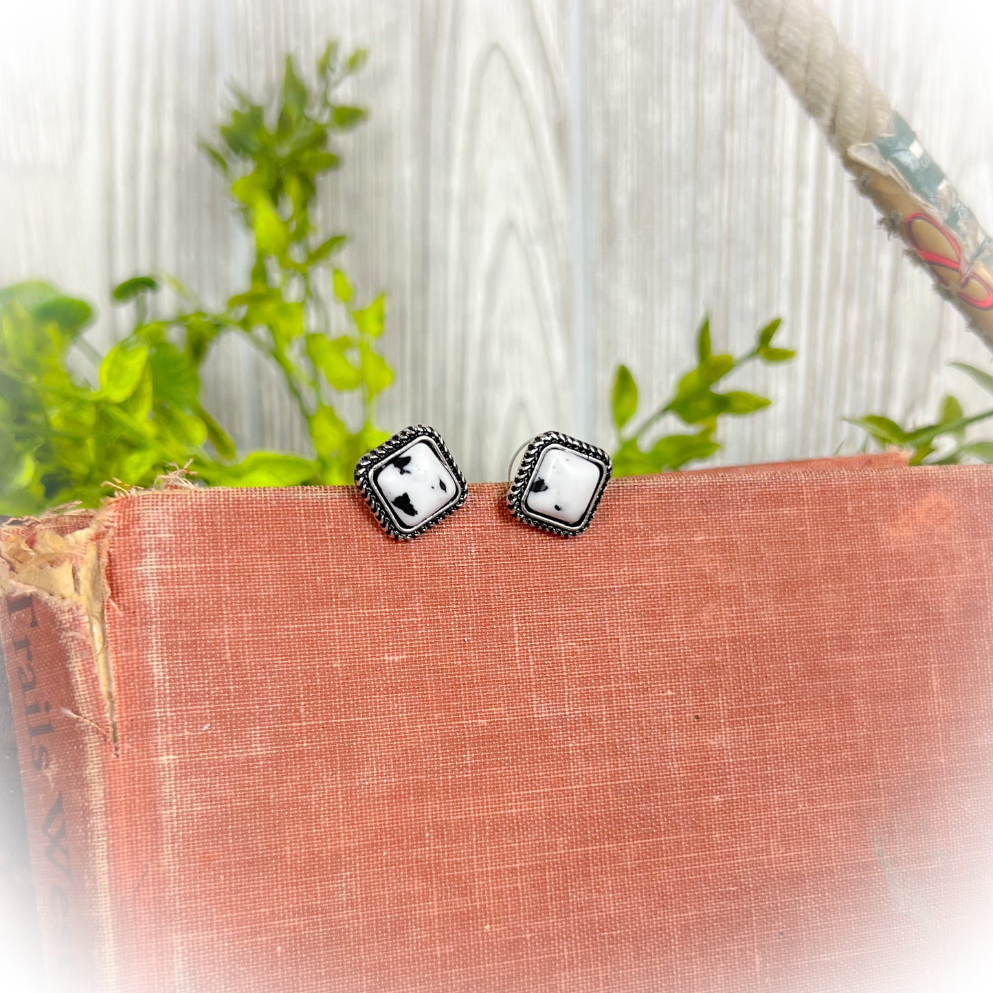 Small Western Stone Stud Earrings - White