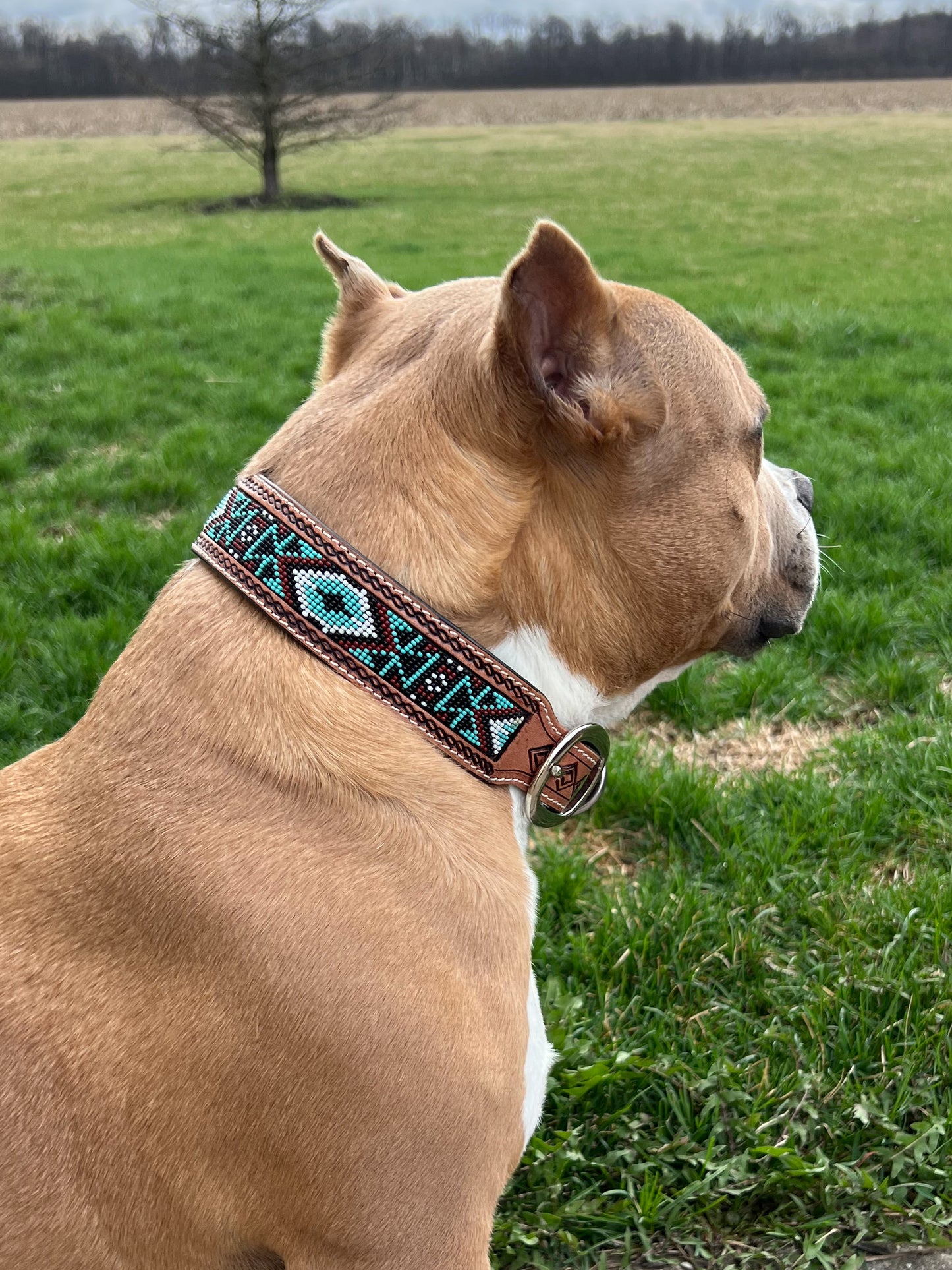 Beaded Leather Dog Collar