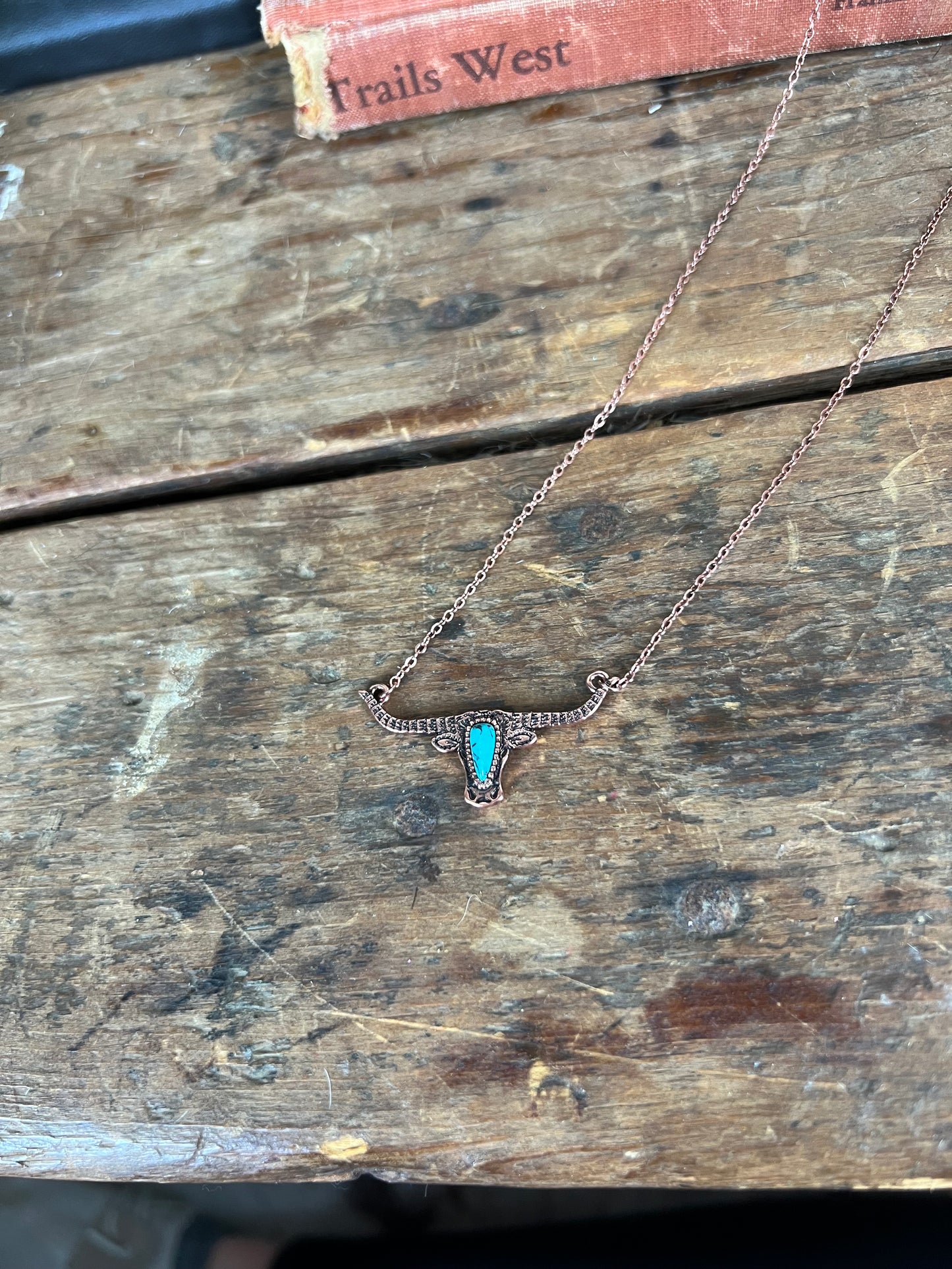 Longhorn Necklace - Bronze