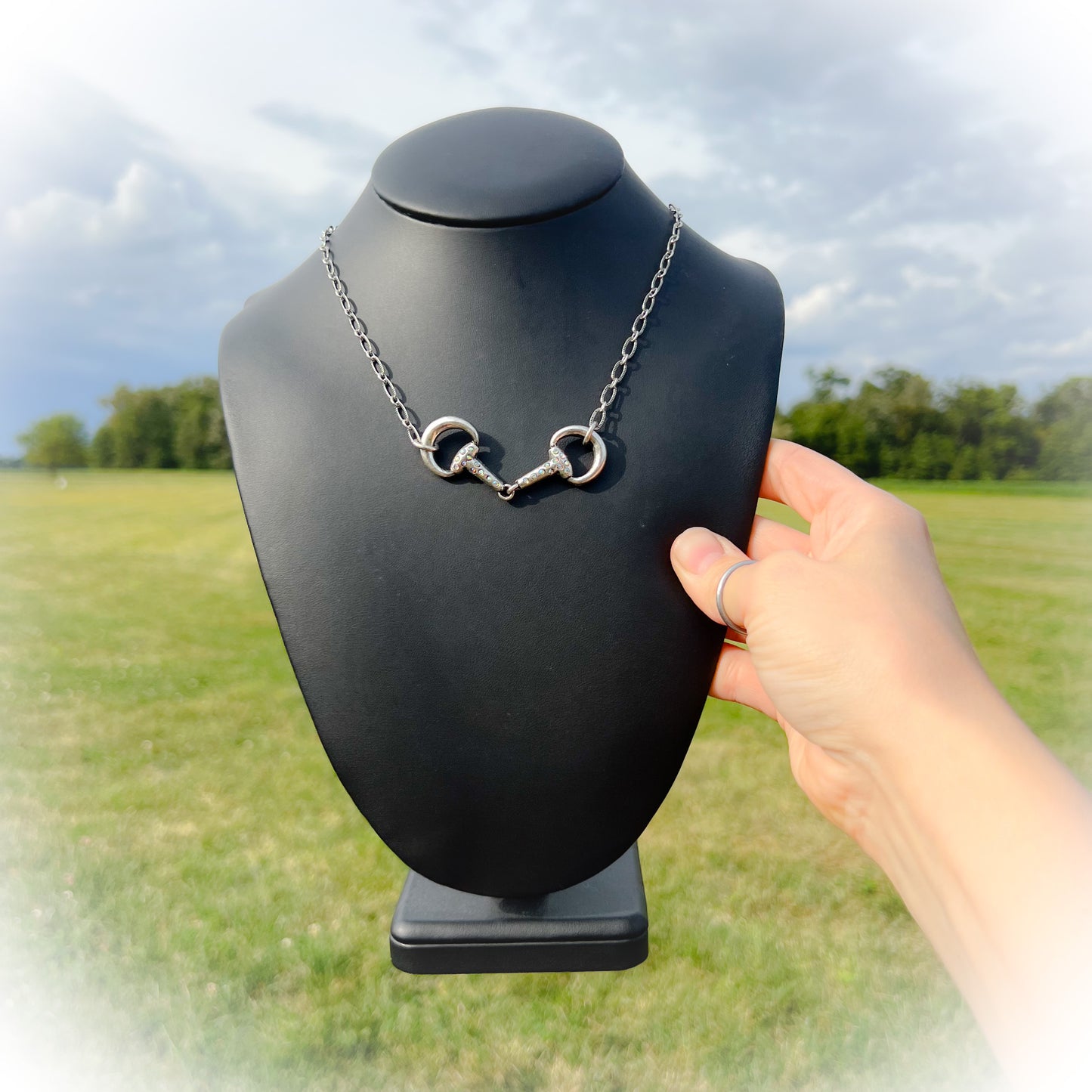 Western Horse Bit Necklace & Earrings Set