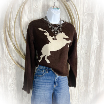 Cowboy Take Me Away Sweater - Dark Brown - Western