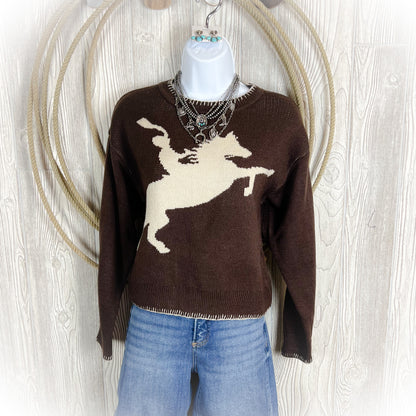 Cowboy Take Me Away Sweater - Dark Brown - Western
