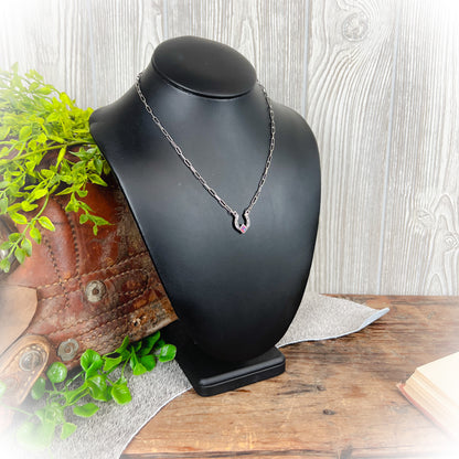 Wish Me Luck Western Horseshoe Necklace