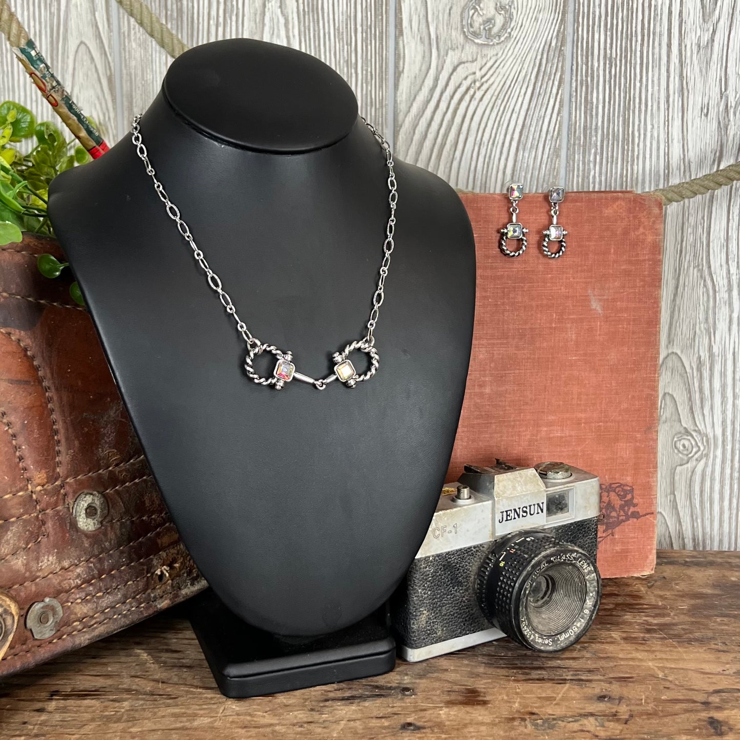 Western Rope Horse Bit Necklace Set – Iridescent